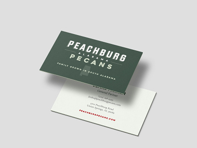 Peachburg Pecans Business Card branding design logo