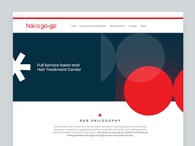 HairAGoGo 2019 Web