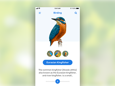 Birding App
