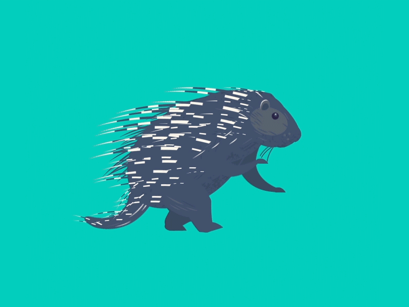 Porcupine Clap by Josh Mortenson for Moz Design Team on Dribbble