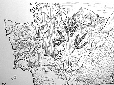 PNW, At Home In Nature drawing illustration pen pnw