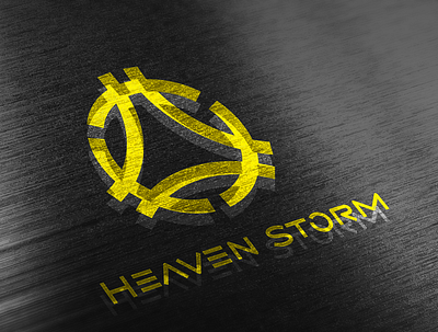 HEAVEN STORM brand brandidentity branding identity identitydesign logo logoinspirations logotype type typography