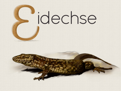 E = Eidechse alphabet animals illustration lizard