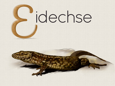 E = Eidechse