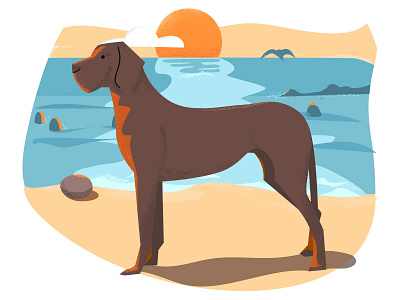 Dog on a beach 2d animal beach dog illustration illustrator ocean photoshop playingaround sunset textures vector water