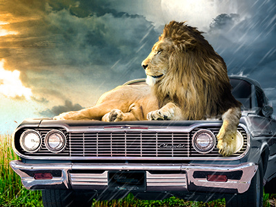 In Like a Lion.... end of march impala lion photo manipulation sale