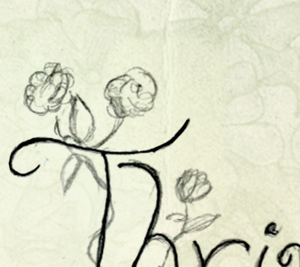 Bouquet is Bouquet in French flower lettering sketch