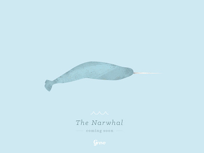 The Narwhal branding flat grovo iconography illustration narwhal product development simple typography visual design web design