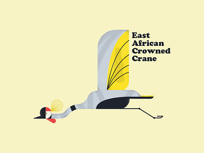 EACC bird cooper black east african crowned crane exotic graphic design illustration simple typography
