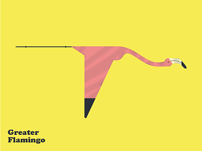 GF bird exotic flamingo graphic design illustration simple typography