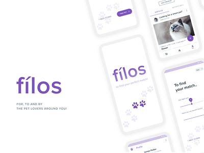 fílos- Pet Adoption Concept case study double diamond process interaction design pet adoption ui user persona user research ux