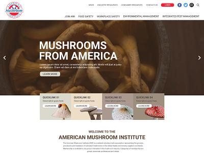 American Mushroom Insitute Mockup design ui web