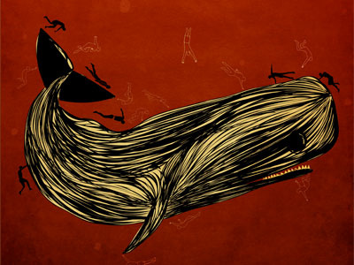 Hail Whale illustration whale
