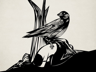 Crows must never win illustration stories
