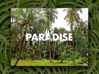 Day 61: Paradise Website branding clean daily design design graphic design graphicdesign illustration interface landing page landingpage minimal minimalistic simple ui uidesign uiux web design webdesign website