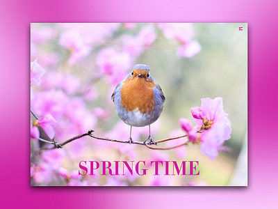 Day 67: Spring Time clean daily design design graphic design graphicdesign illustration interface landing page landingpage logo minimal uidesign web design webdesign website