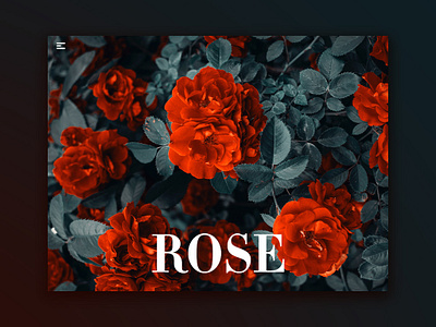 Day 72: Rose Website (late) branding clean daily design design graphic design graphicdesign illustration interface landing page landingpage minimal minimalistic simple ui uidesign uiux ux web design webdesign website