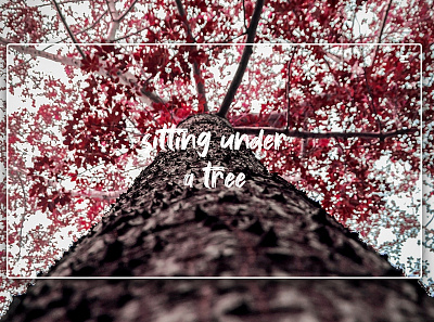 Day 206: Under a Tree clean design graphic design graphicdesign illustration interface landingpage minimal uidesign web design