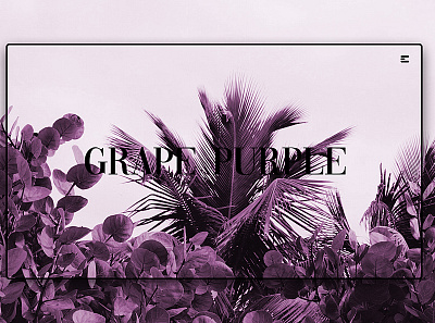 Day 207: Grape Purple. clean design graphic design graphicdesign illustration interface landingpage minimal uidesign web design