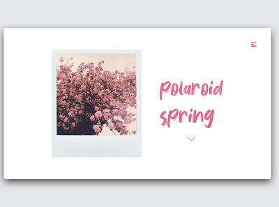 Day 238: Polaroid Spring. clean design graphic design graphicdesign illustration interface landingpage minimal uidesign web design