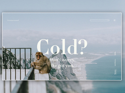 Day 255: Cold? Landing Page. branding daily design design graphic design graphicdesign landing page landingpage typography ui web design