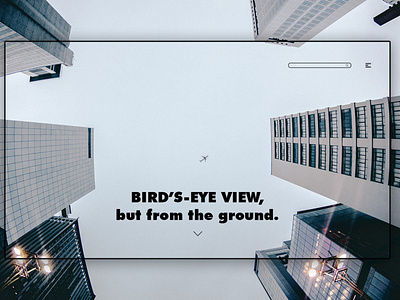 Day 258: Bird's-Eye View