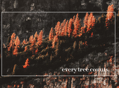 Day 271: Every Tree Counts. clean design graphic design graphicdesign illustration interface minimal uidesign web design