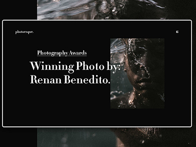 Day 343: Photography Award Site Concept.