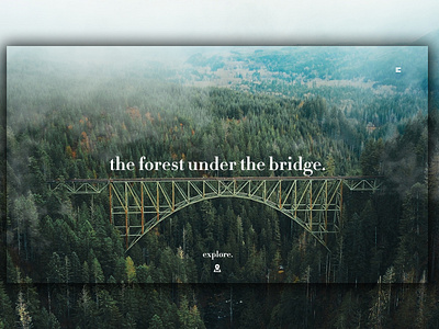 Day 360: The Forest Under The Bridge Landing Page.