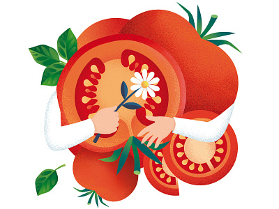 Tomato Food Illustration