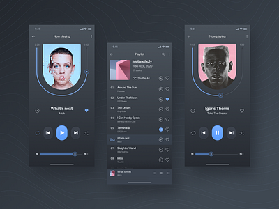 Music Player Concept