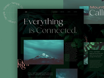 Simple Things project for OCM branding design landing typography ui web website