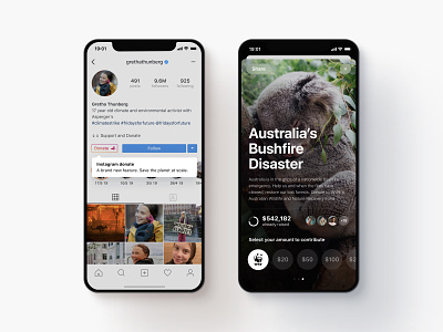 Instagram Concept Donation Feature app concept design ig instagram interface jajadesign sydney ui