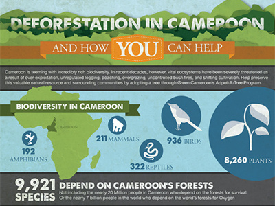 Green Cameroon Infographic by Amy Young on Dribbble