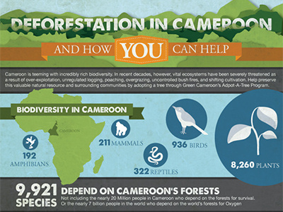 Green Cameroon Infographic africa cameroon illustration infographic non profit