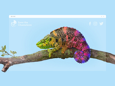 Parallax Effects chameleon color effects fade hiker landing nature page parallax tree water zoom