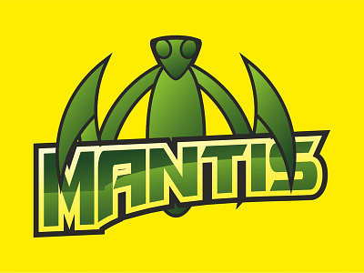 Mantis Concept Logo branding concept design illustration logo vector