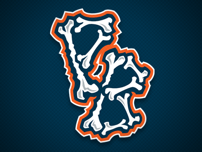 Detroit Tigers rebrand by Sidney on Dribbble