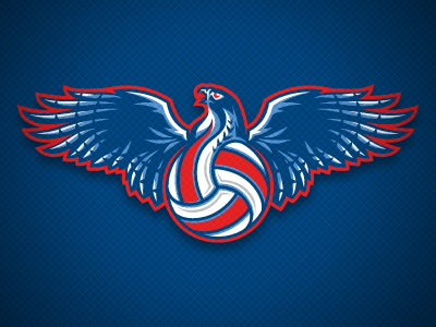 Sokol Volleyball Logo falcon identity logo poland sokol sport team volleyball