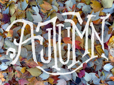 Autumn art autumn colors design fall glennave hand leaves letter michigan type typography