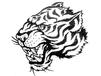 Tiger Tat apparel drawing label sketch style tattoo tiger