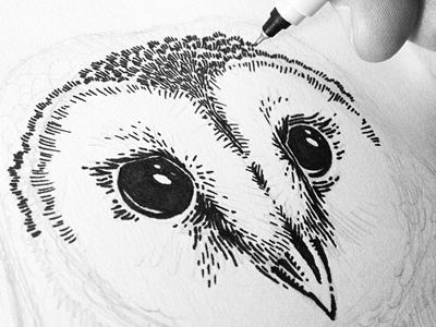 Barn Owl Wip barn drawing illustration ink owl sharpie sketch wip