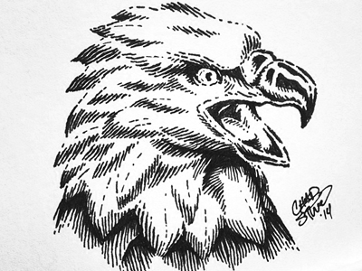 Eagle Illustration