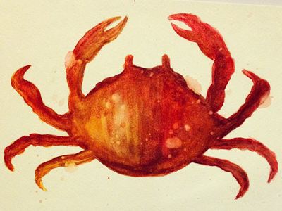 Crab Painting crab drawing illustration nautical paint painting pinch watercolor