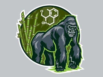 Gorilla Vector ape bambo brand design gorilla identity logo proud vector