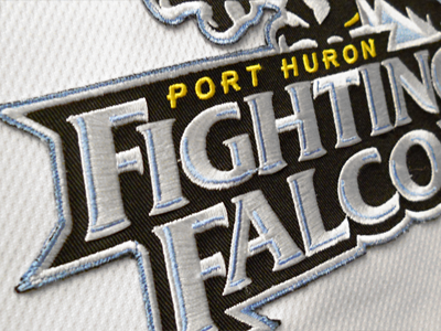 Fighting Falcons Wordmark Patch
