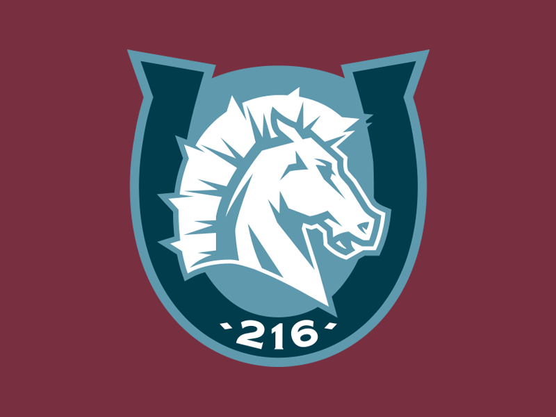 216 Broncos Shoulder Patch Logo by Chad B Stilson on Dribbble