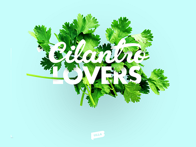 Cilantro Lovers caracas handlettering lettering type typography venezuela