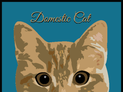 domestic cat desain ikon ilustrasi logo tipografi ui vektor