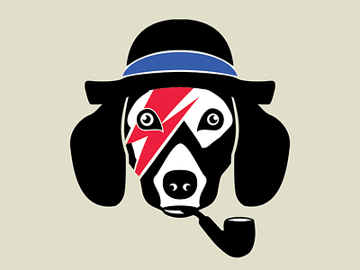 Bowie Dog bowie dachshund rockroll sf wienerdog
